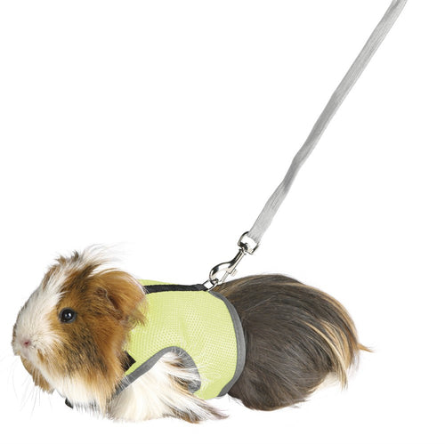 Softsele koppel - Marsvin/iller | Endast 119 kr! - Zoogiganten