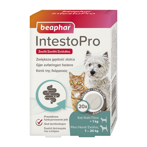 IntestoPro tabletter hund/katt >20 kg 20 tabletter