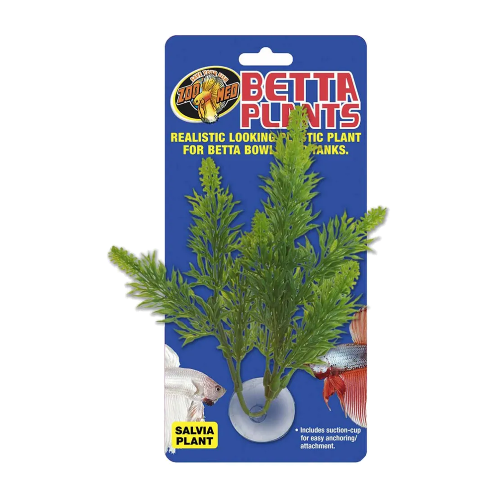 Zoo Med Betta Plant Salvia | Endast 59 kr! - Zoogiganten