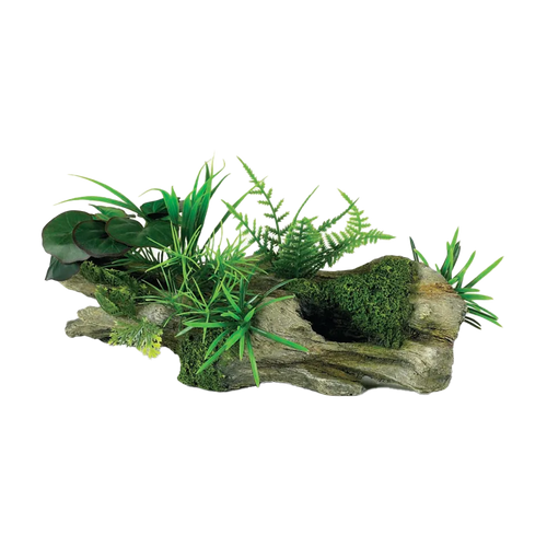 Drivved med Växter - 24X9.5X9.5 CM | Endast 399 kr! - Zoogiganten