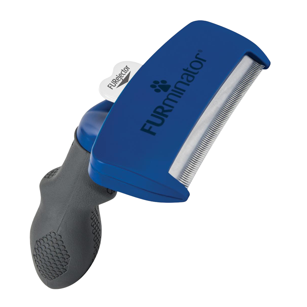 Fjerning av shelling av strigle kort hår - stor