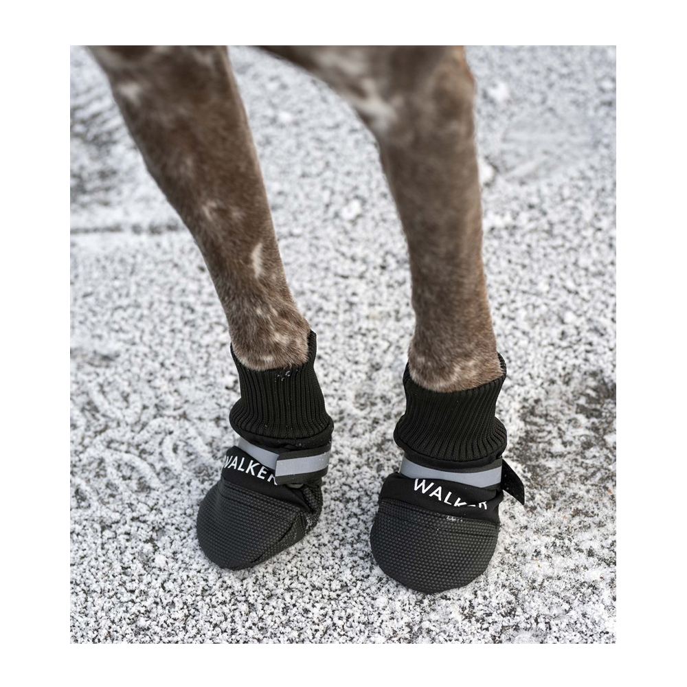 Hundesko Walker Comfort 2-pakning Svart