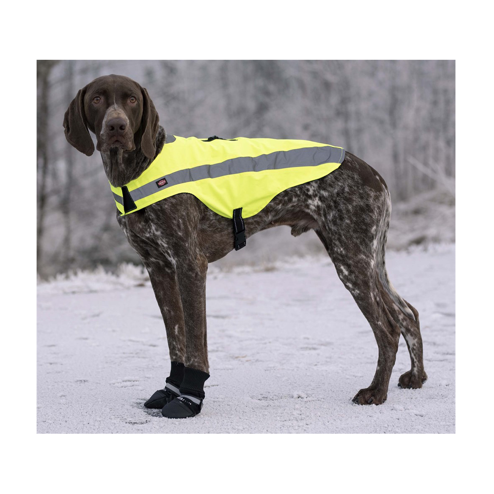 Hundesko Walker Comfort 2-pakning Svart