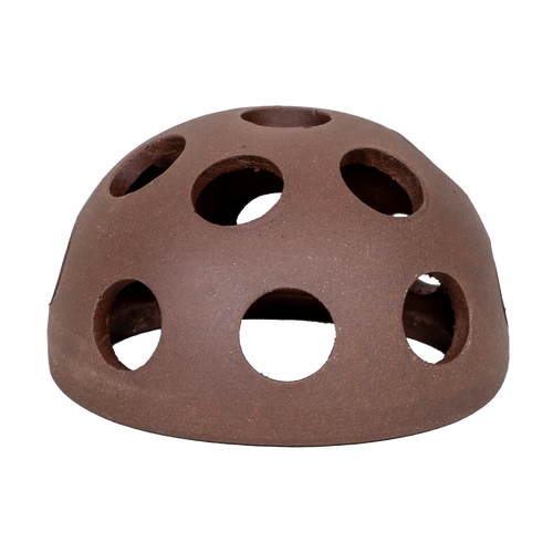 Räkgrotta Kupol - 5.8X3.7 CM | Endast 49 kr! - Zoogiganten
