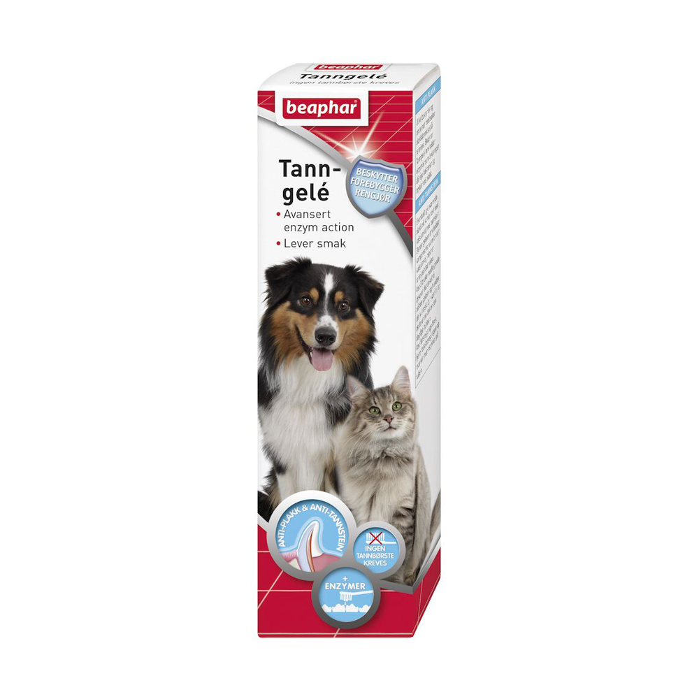 Tanngel med enzymer for hund og katt