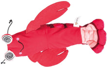 Krabbe-pipende stoffkatnip - 23 CM