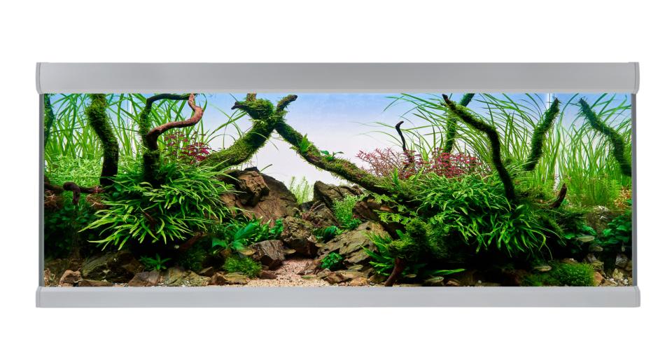 Fusion 325 L Akvarium Sølv/hvitt - 130X50X54 CM