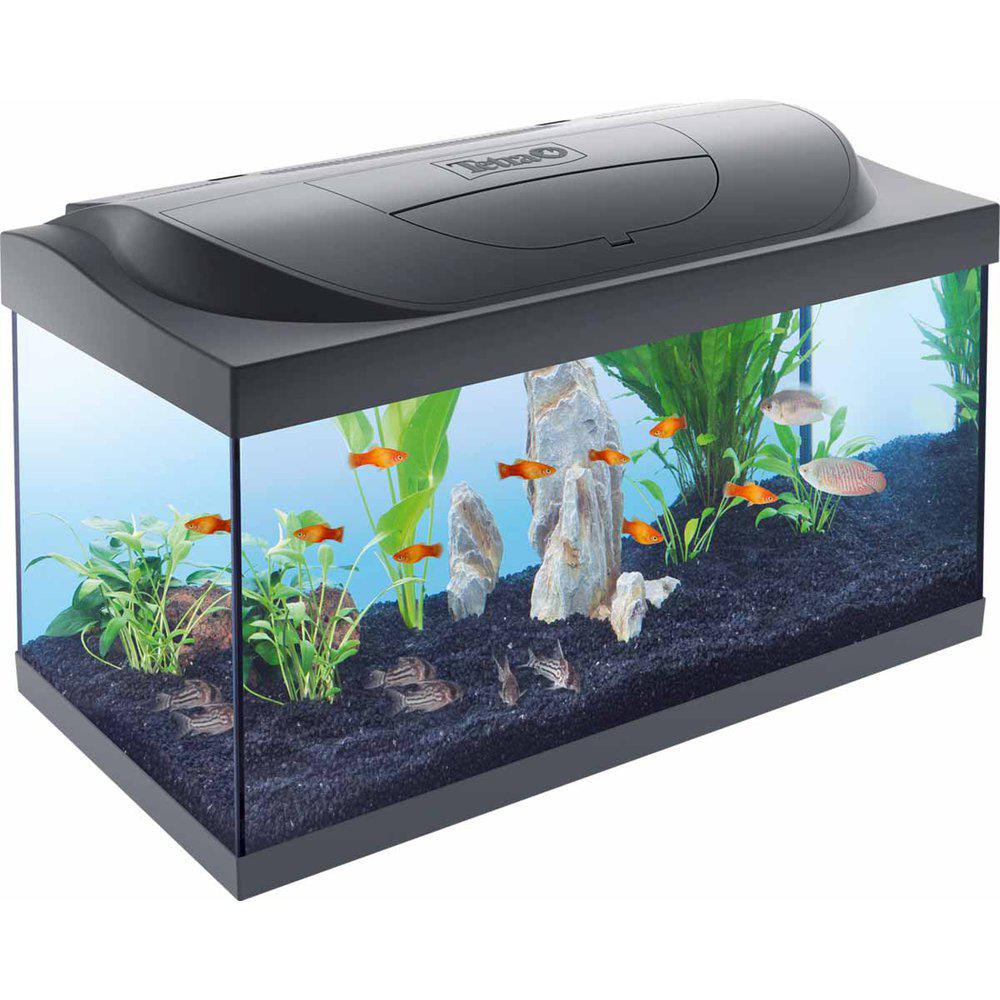 Tetra Startpaket - 54 L | Endast 1499 kr! - Zoogiganten