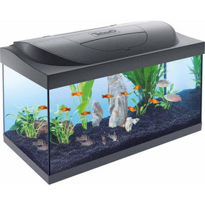 Tetra Startpaket - 54 L | Endast 1499 kr! - Zoogiganten