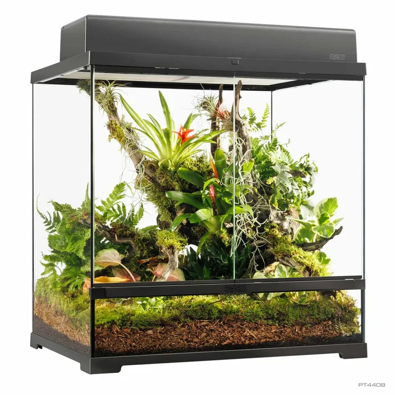 Terrarium Exoterra M høyt - 60X45X60 CM