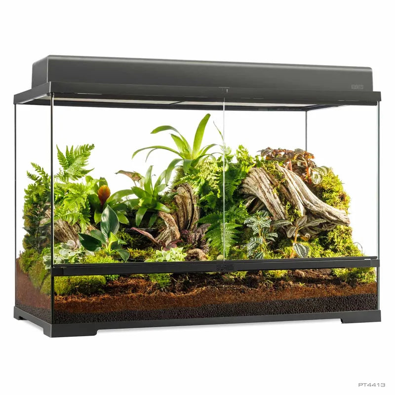 Terrarium Exoterra L høyt - 90X45X60 CM