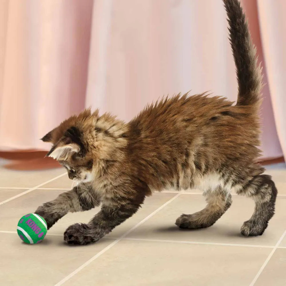 Kong Cat Active Tennisball M/Bjeller - 4 CM