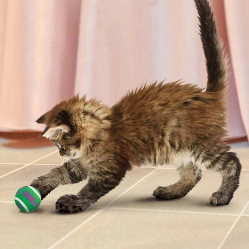 Kong Cat Active Tennisball M/Bjeller - 4 CM