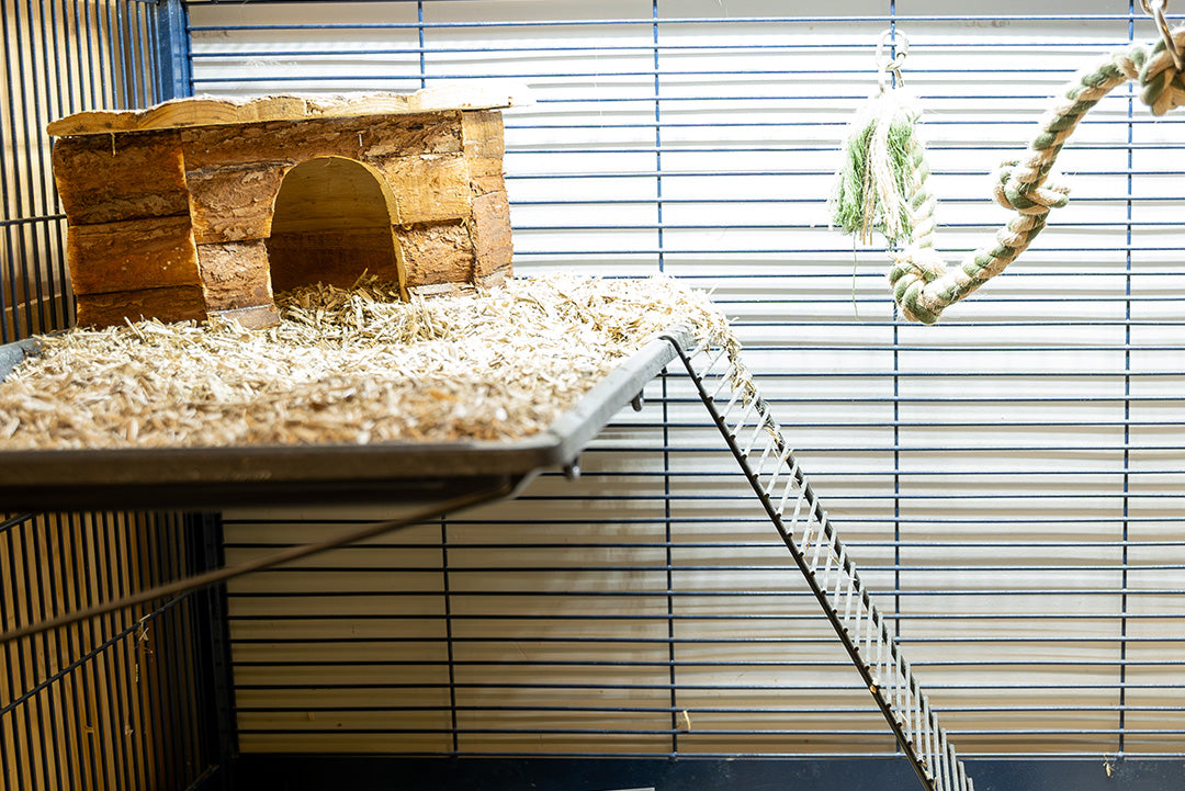 HOTELL FÖR RÅTTA & CHINCHILLA  / DYGN | Endast 119 kr! - Zoogiganten
