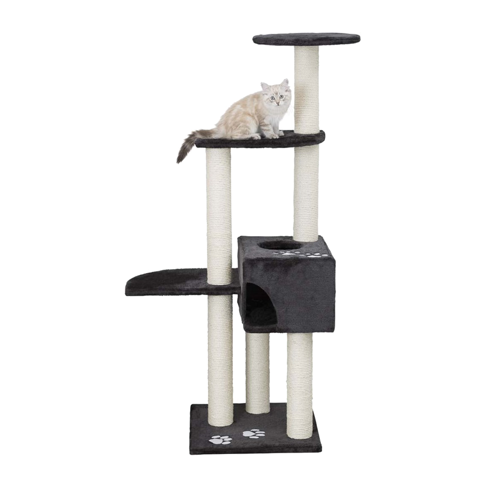 Alicante Klöspelare - 142 CM | Endast 1589 kr! - Zoogiganten