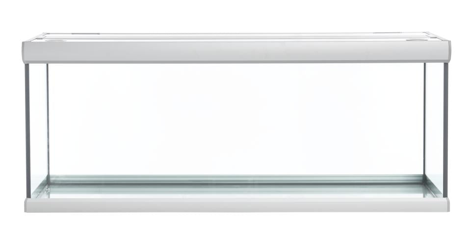 Fusion 325 L Akvarium Sølv/hvitt - 130X50X54 CM