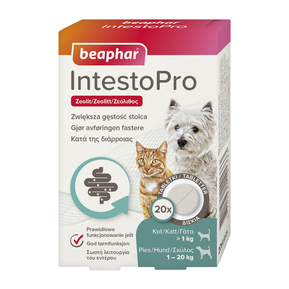 IntestoPro tabletter hund/katt >20 kg 20 tabletter