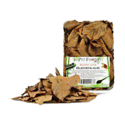 Boklöv Terrarium - 1 L | Endast 89 kr! - Zoogiganten