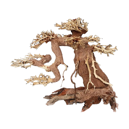 Bonsaiträd Akvarium Large - 30X23X15 CM | Endast 1099 kr! - Zoogiganten