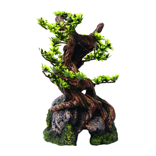 Bonsaiträd Akvarie - 19 CM | Endast 399 kr! - Zoogiganten