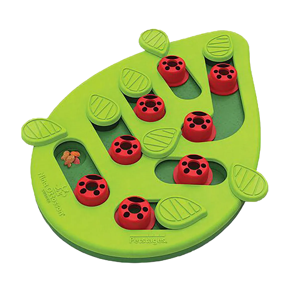 Petstages kattepuslespill og lek med Buggin Out
