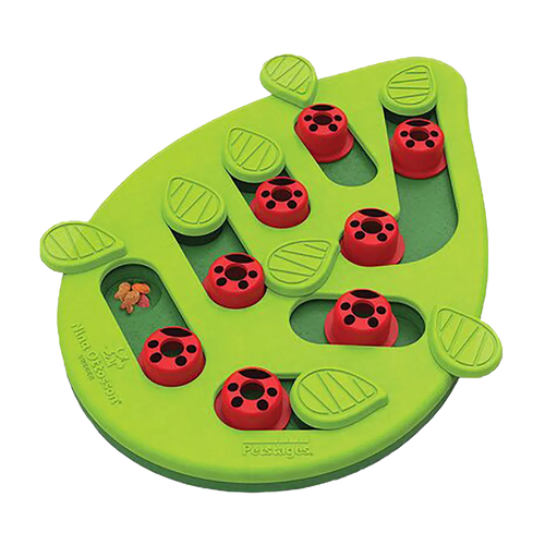 Petstages kattepuslespill og lek med Buggin Out