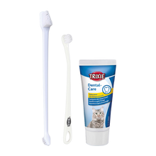 Tannpleiesett Cat M Tannkrem 2 tannbørster