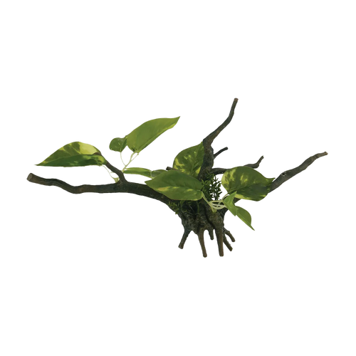 Drivved Planta - 34X15X15 CM | Endast 79 kr! - Zoogiganten