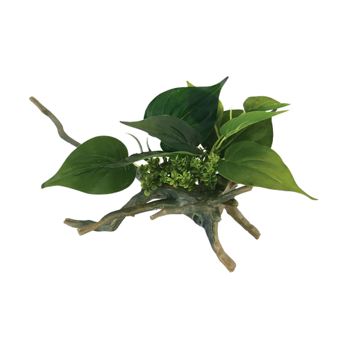 Drivved Planta - 16.5X16.5X24.5 CM | Endast 69 kr! - Zoogiganten
