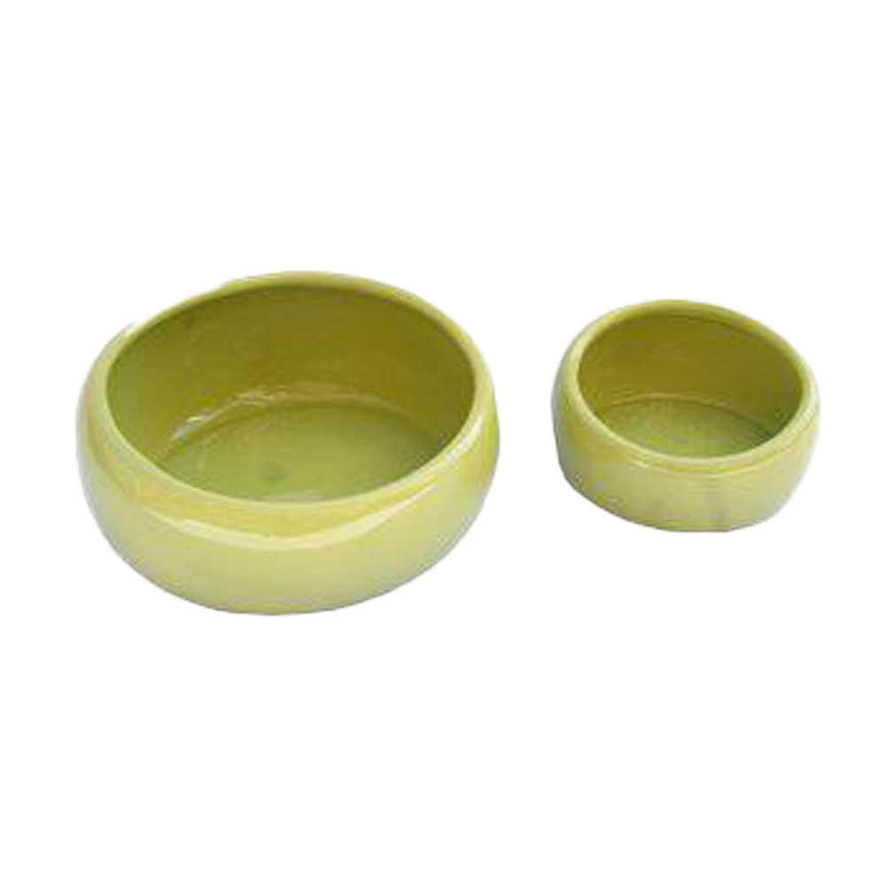 Ergonomisk keramikskål Lime | Endast 59 kr! - Zoogiganten