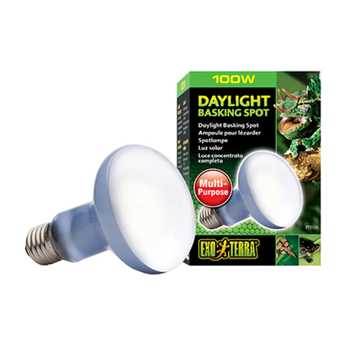 Exoterra Daylight Basking Spot 100W R25 E27 - Grön | Endast 169 kr! - Zoogiganten