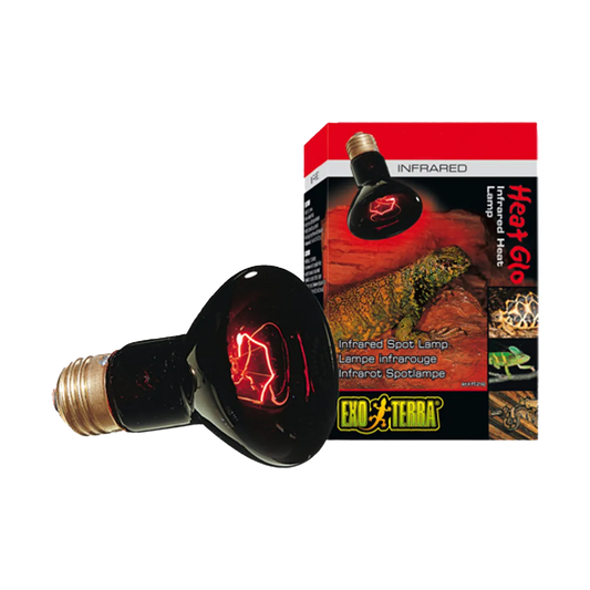 Exoterra Infrared Basking Spot R20 E27 - Röd | Endast 169 kr! - Zoogiganten