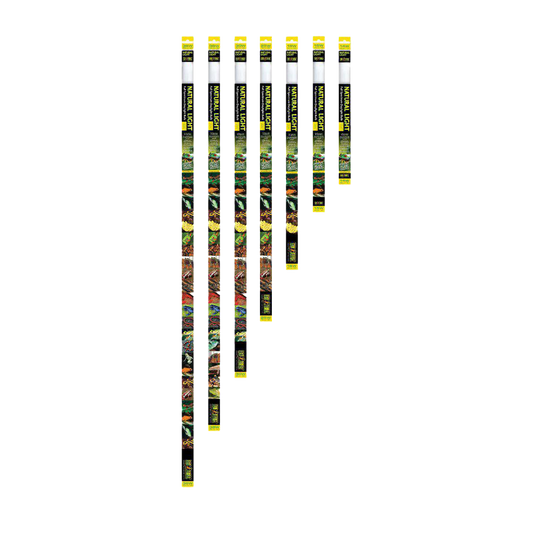 Natural Light UVA - T( | Endast 179 kr! - Zoogiganten