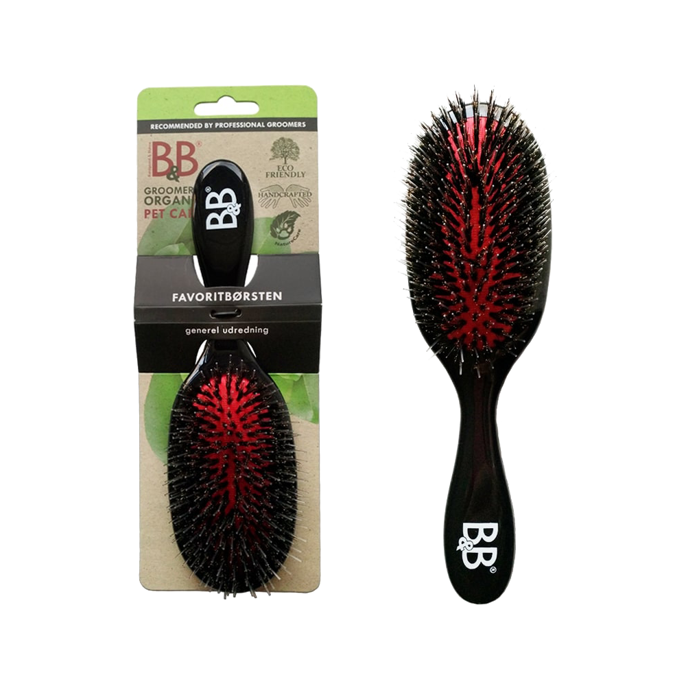 B&amp;B Favorittbørste
