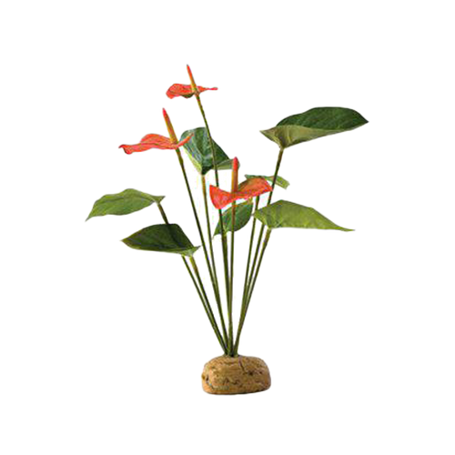 Flamingo Regnsskogsväxt - 20X15X28 CM | Endast 139 kr! - Zoogiganten