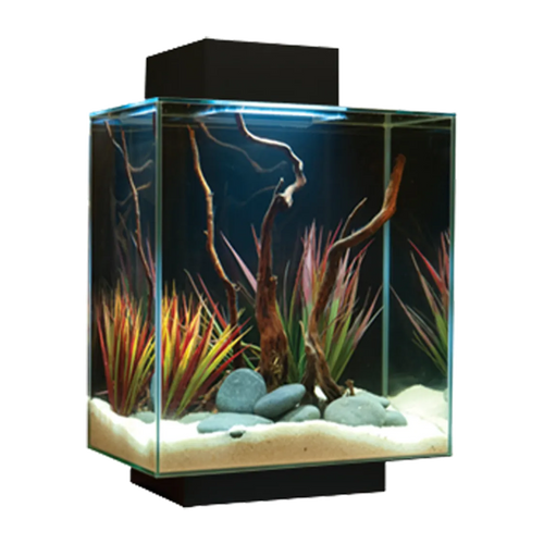 Fluval Edge LED Svart - 46 L | Endast 4149 kr! - Zoogiganten
