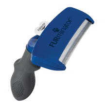 Fjerning av shelling av strigle kort hår - stor