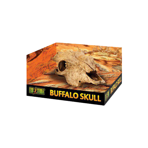Exoterra Grotta Buffel Kranium | Endast 249 kr! - Zoogiganten