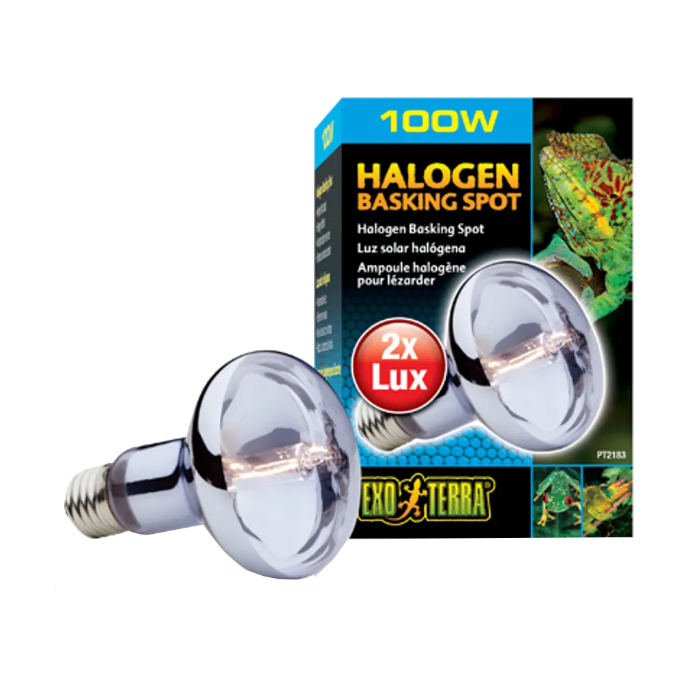Exoterra Halogen Basking Spot R25 E27 - 100 W | Endast 289 kr! - Zoogiganten