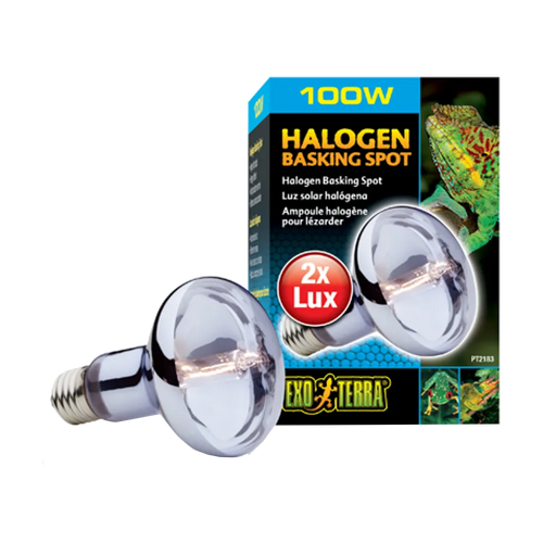 Exoterra Halogen Basking Spot R25 E27 - 100 W | Endast 289 kr! - Zoogiganten