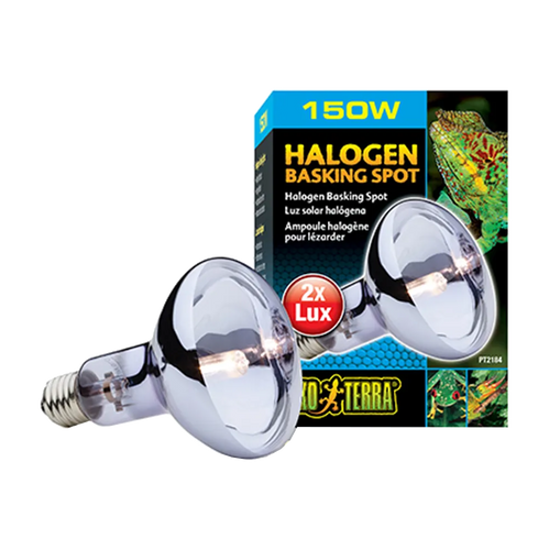 Exoterra Halogen Basking Spot R30 E27 - 150 W | Endast 289 kr! - Zoogiganten