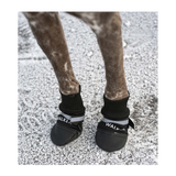 Hundesko Walker Comfort 2-pakning Svart