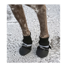 Hundesko Walker Comfort 2-pakning Svart