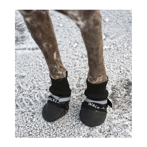 Hundesko Walker Comfort 2-pakning Svart