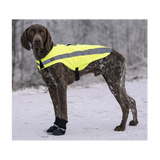 Hundesko Walker Comfort 2-pakning Svart