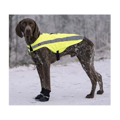 Hundesko Walker Comfort 2-pakning Svart