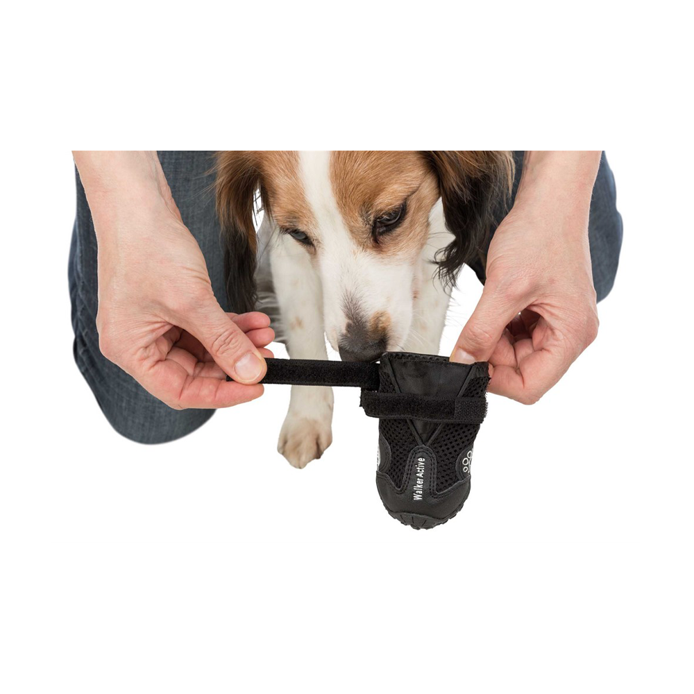 Hundesko Walker Active 2-pakning Svart