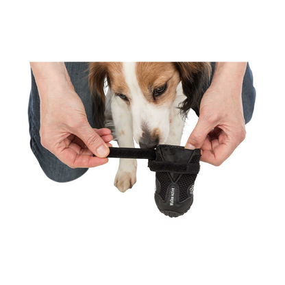 Hundesko Walker Active 2-pakning Svart