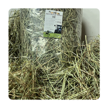 Idas Finhö (SKÅNE)