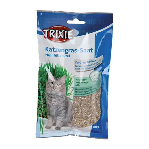 Kattemynte-påfyll - 100 g